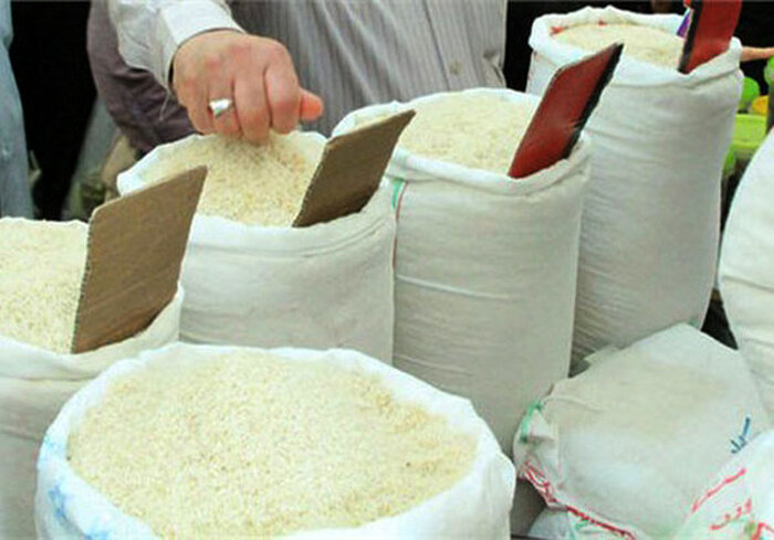 اختلاف ۱۵ هزار تومانی کشاورزان با تجار/ برنج مازندران چند قیمت می‌خورد؟