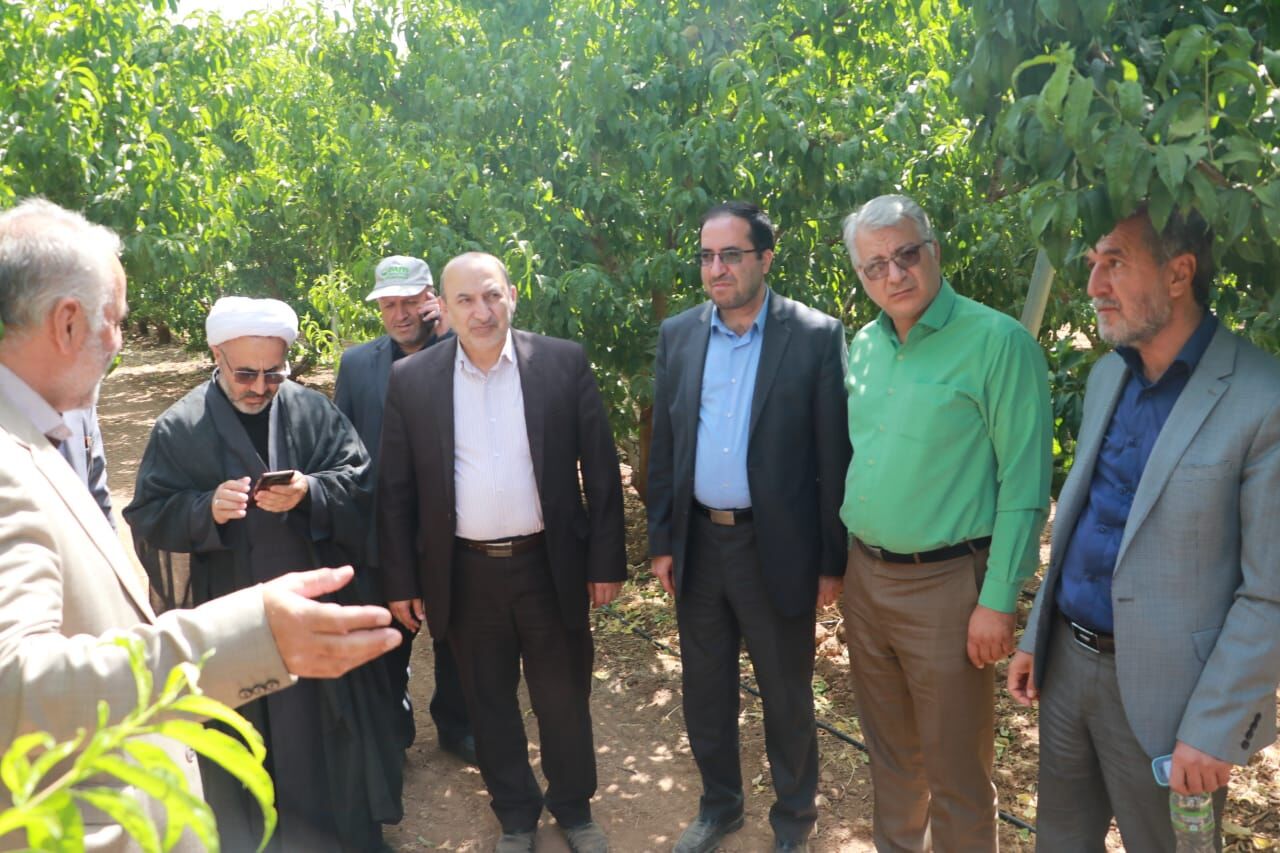 معاون وزیر جهاد کشاورزی: دانش و فناوری برای باغداران در اولویت قرار گیرد