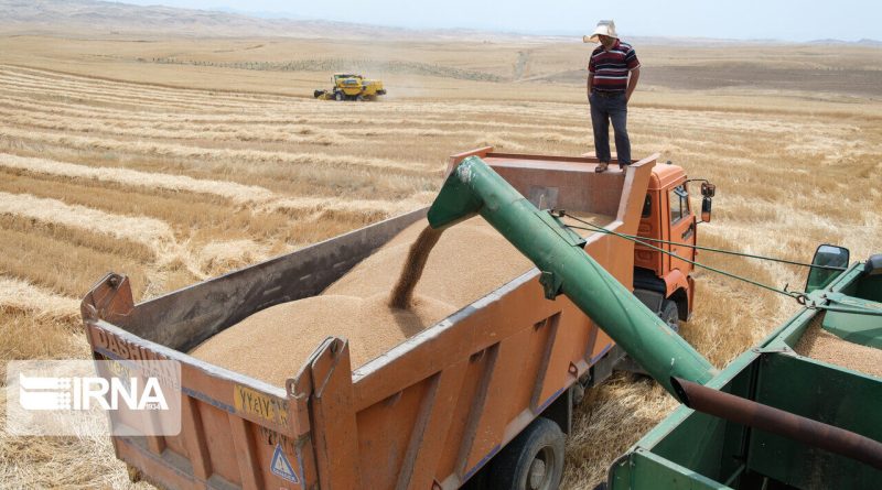 ۵۲۸ هزار تن گندم تضمینی در استان کرمانشاه خریداری شد