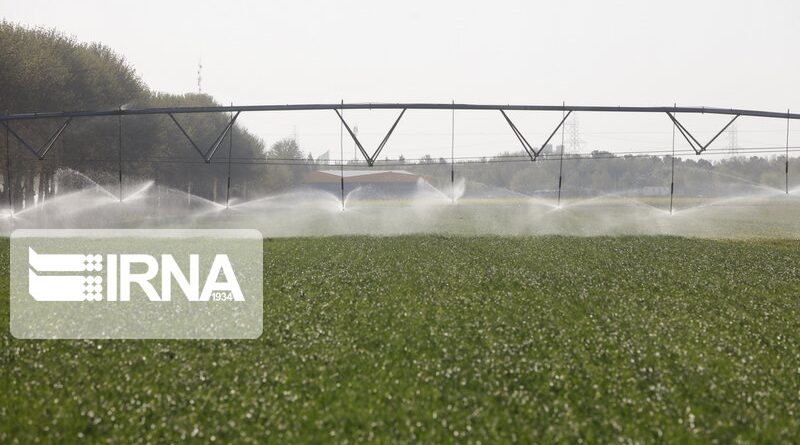 تحقق اندازه‌گیری آب ۳۵ محصول کشاورزی کشور توسط محققان بخش کشاورزی