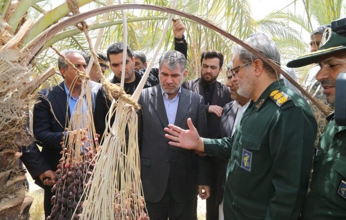 اختصاص ۳ هزار و ۵۰۰ میلیارد تومان اعتبار در کشاورزی استان کرمان
