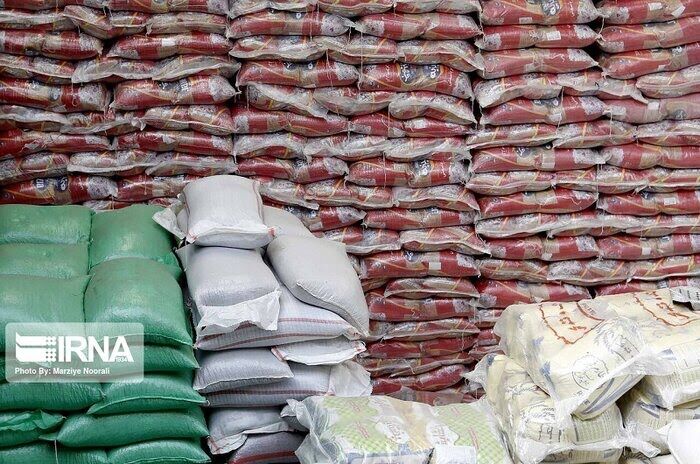 معاون وزیر جهاد کشاورزی : توزیع برنج خارجی در زمان برداشت محصول داخلی ممنوع است