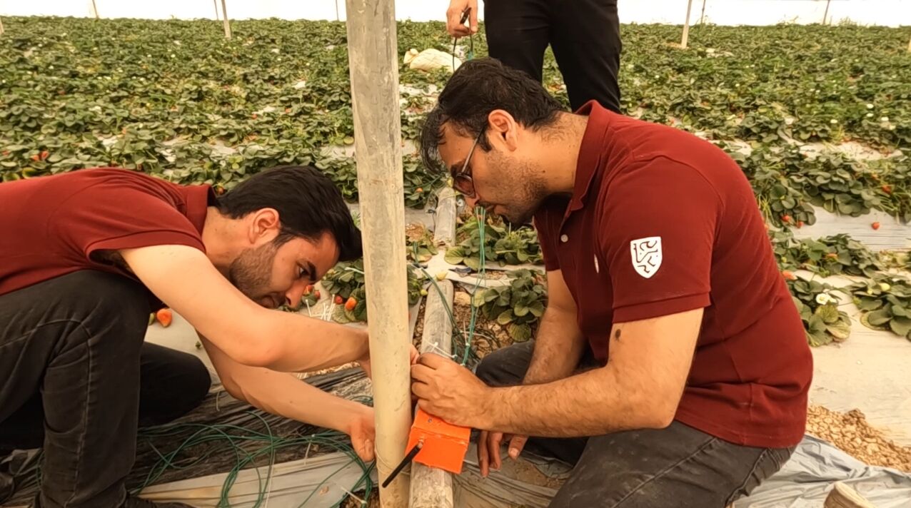 پیاده‌سازی سامانه هوشمند گلخانه‌ای توسط محققان دانشگاه شهید چمران اهواز