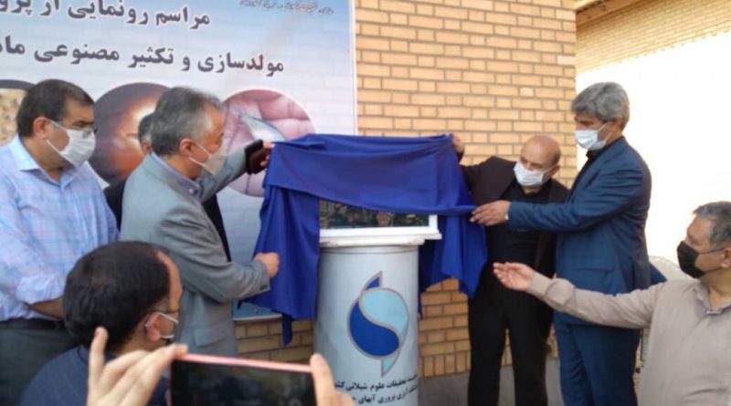 پروژه تکثیر مصنوعی ماهی سی باس در بندر امام خمینی(ره) به بهره‌برداری رسید