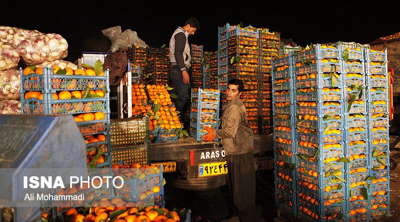توزیع حدود 10000 تن میوه در آستانه عید / تعدیل قیمت

