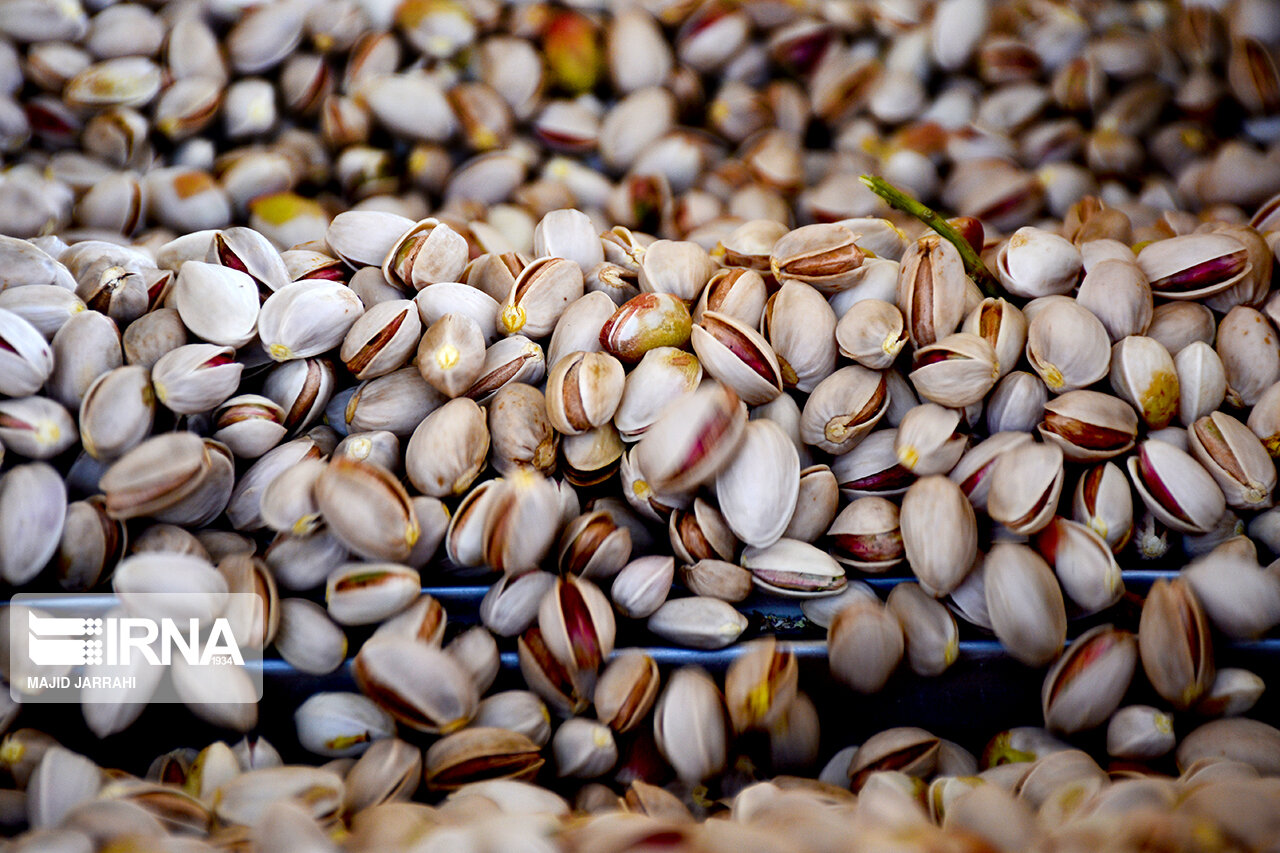 صفحه درخواستی پیدا نشد