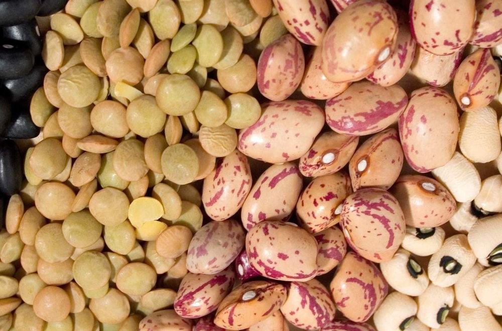 طرح موضوع گرانی سه شرکت بسته بندی حبوبات