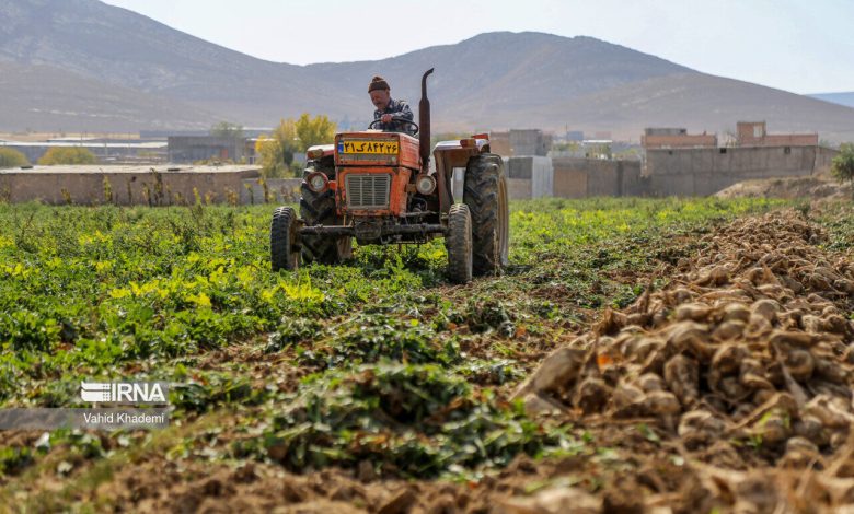 افزایش اراضی کشاورزی در ۲۰ سل گذشته، ۲ میلیارد متر مکعب از حق‌آبه دریاچه ارومیه را بلعید