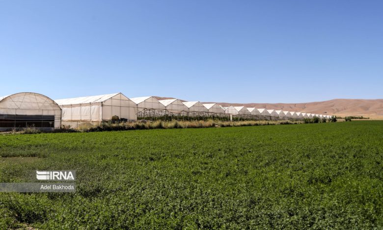 درخواست ارزی فعالان بخش کشاورزی/ مشارکت واردکنندگان در تولید قراردادی محصولات