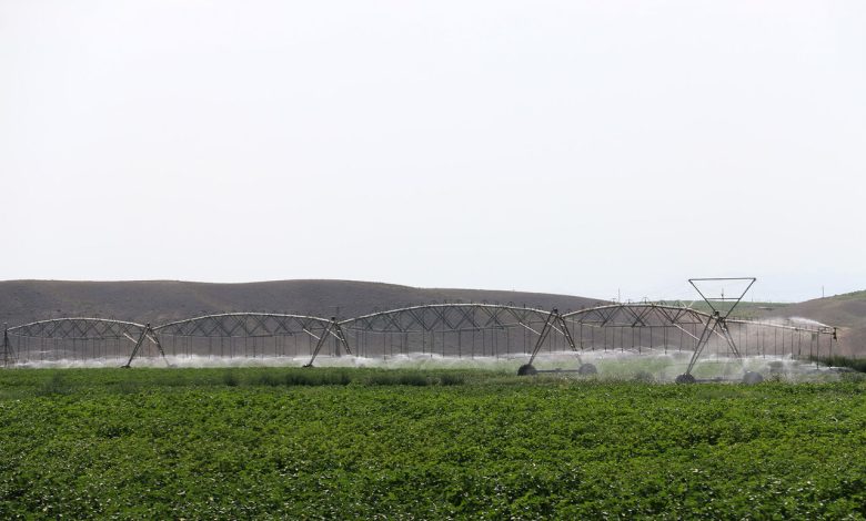 مدیریت هوشمند آب در زنجان راهکار مقابله با کم آبی