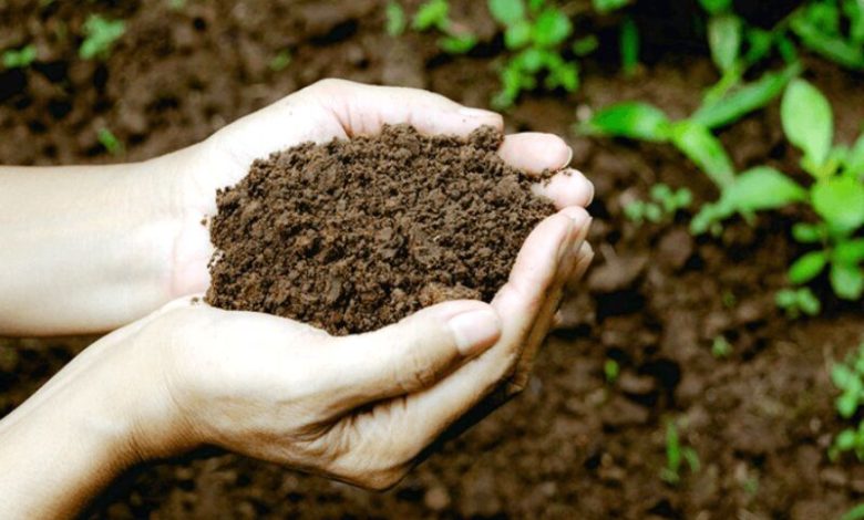 هشدار کاهش کیفیت و مواد آلی خاک/ قانون الزام یکپارچه‌سازی اراضی کشاورزی اجرا می‌ شود