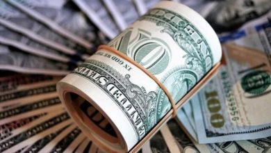 صفحهٔ درخواستی شما یافت نشد.