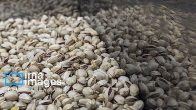 آزمایشگاه تخصصی، فرصت جهش کیفیت و صادرات «طلای سبز» دامغان