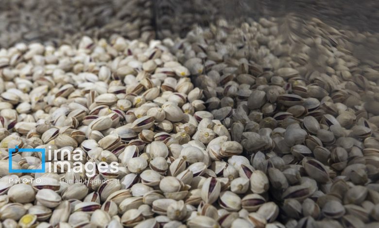 آزمایشگاه تخصصی، فرصت جهش کیفیت و صادرات «طلای سبز» دامغان