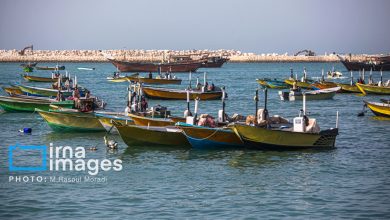 آغاز اجرای پروژه‌های بهسازی در ۱۷ بندر ماهیگیری کشور