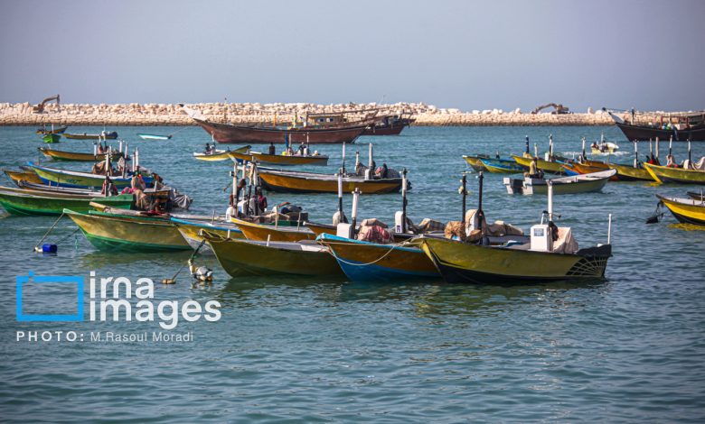 آغاز اجرای پروژه‌های بهسازی در ۱۷ بندر ماهیگیری کشور