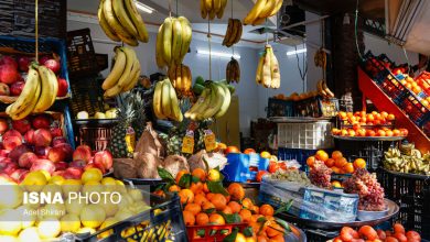 آغاز طرح ویژه تنظیم بازار شب یلدا در استان تهران