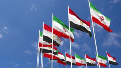 آمادگی بخش خصوصی ایران برای همکاری اقتصادی با مصر