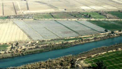 اجرای فاز دوم طرح ۵۵۰ هزار هکتاری خوزستان در انتظار منابع مالی ویژه