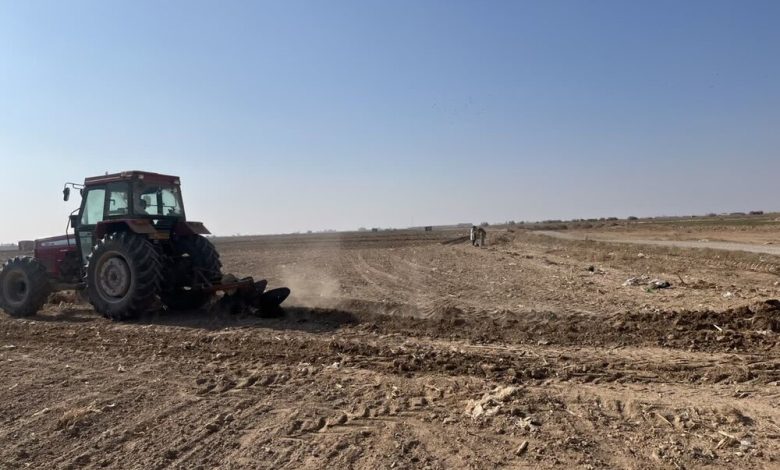 اجرای مزرعه PVS گندم با هدف تعیین بهترین ارقام کشت در سمنان