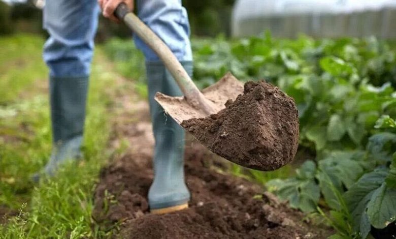 اراضی کشاورزی در «تله توسعه» شهرها/ برنامه «پزشک خاک» کلید خورد