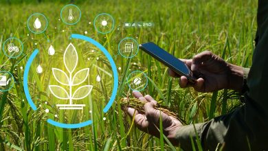 استفاده از هوش مصنوعی در تحقیقات گیاه‌پزشکی ضروری است