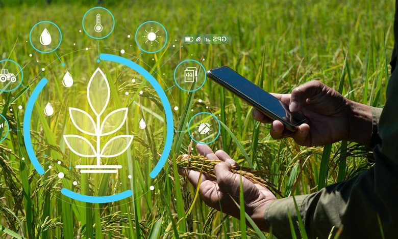 استفاده از هوش مصنوعی در تحقیقات گیاه‌پزشکی ضروری است