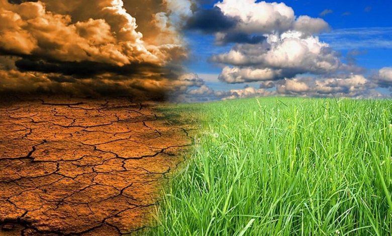 افت ۸۰ درصدی بارندگی سبب کاهش تولیدات کشاورزی می شود