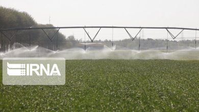 افزایش بهره‌وری آب به ۴۱.۶ درصد با هوشمندسازی آبیاری