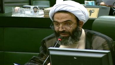 انتقاد نقدعلی به تخصیص ارز برای واردات ژیلت