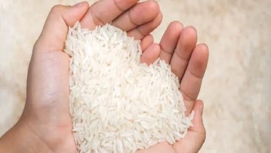 برنج هندی ارزان شد/ برنج ایرانی در راه کاهش