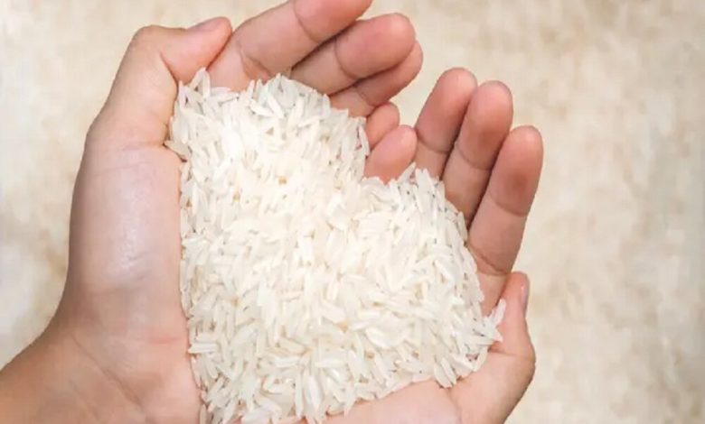 برنج هندی ارزان شد/ برنج ایرانی در راه کاهش