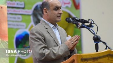 جشنواره شکرانه برداشت کیوی در تالش؛ نمایش توان تولید و صادرات کشاورزی گیلان