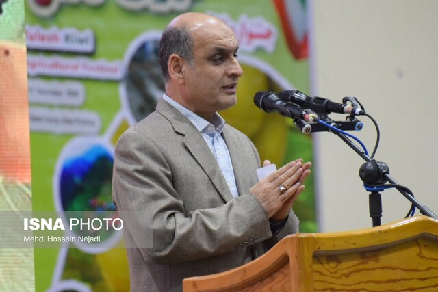 جشنواره شکرانه برداشت کیوی در تالش؛ نمایش توان تولید و صادرات کشاورزی گیلان