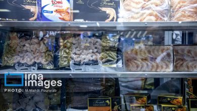 بندرلنگه در مسیر تقویت صادرات دریایی؛ از سردخانه‌های مدرن تا کنسروهای آماده