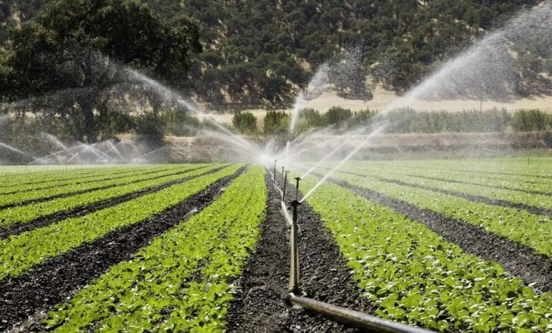 بیش از ۹۰ درصد آب کشاورزی ایران از آبیاری تامین می‌شود