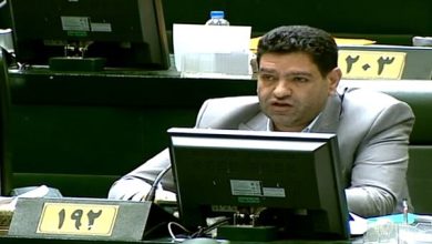 بیگدلی: وزیر جهاد کشاورزی را استیضاح کنید تا محکم‌تر از گذشته کار کند