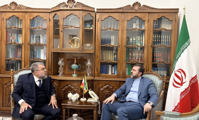 تاکید معاون وزیر خارجه بر وجود ظرفیت‌های گسترده در روابط ایران و برزیل