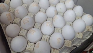 تخم‌مرغ ۳۰۰ هزار تومانی/ بازار از اتحادیه جلو زد!