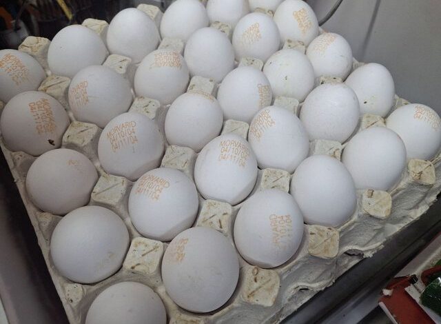 تخم‌مرغ ۳۰۰ هزار تومانی/ بازار از اتحادیه جلو زد!