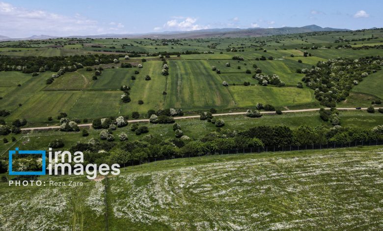 تمامی مجوزهای زمین‌محور باید از سامانه «پنجره واحد مدیریت زمین» صادر شود