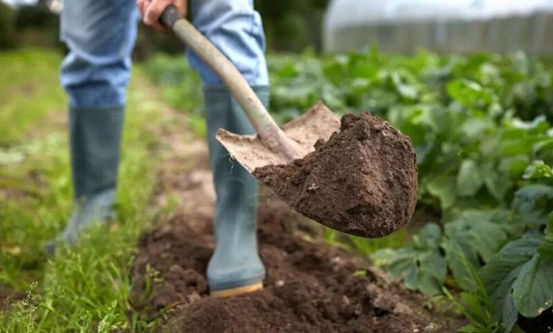 حفاظت خاک نیازمند گفتمان سازی و سیاست‌گذاری‌های موثر است