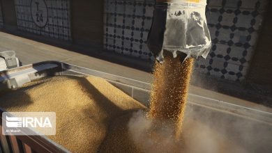 حفظ انبار و سیلوی غلات مأموریتی ملی در راستای صیانت از سفره مردم است