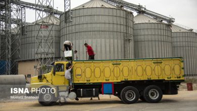 دو کشتی حامل گندم وارد مازندران شد/ پهلوگیری بیش از ۱۰ هزار تن گندم در بندر امیرآباد