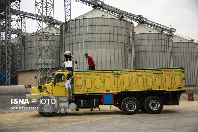 دو کشتی حامل گندم وارد مازندران شد/ پهلوگیری بیش از ۱۰ هزار تن گندم در بندر امیرآباد
