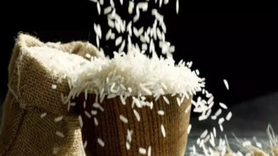 ذخایر برنج هند رکورد زد