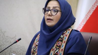 رئیس مرکز ملی فرش ایران: آذربایجان غربی می‌تواند پرچمدار فرش دست‌باف کشور باشد