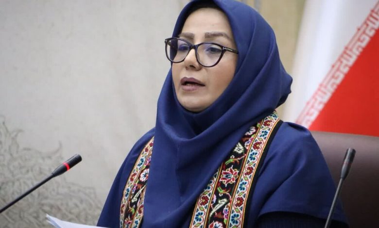 رئیس مرکز ملی فرش ایران: آذربایجان غربی می‌تواند پرچمدار فرش دست‌باف کشور باشد