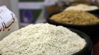 ریختن برنج در دریا کذب است/ وجود ۱۰۰ هزار تن برنج در بنادر