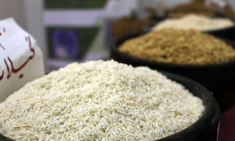 ریختن برنج در دریا کذب است/ وجود ۱۰۰ هزار تن برنج در بنادر